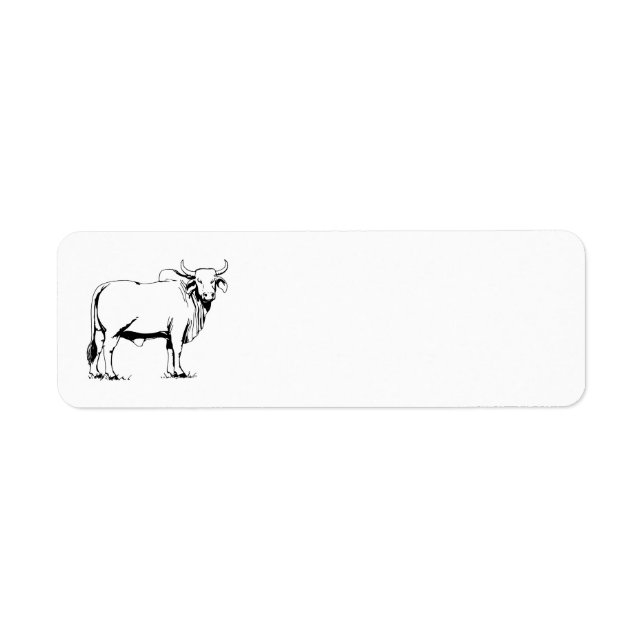 Etiqueta Brahman Cow (Frente)