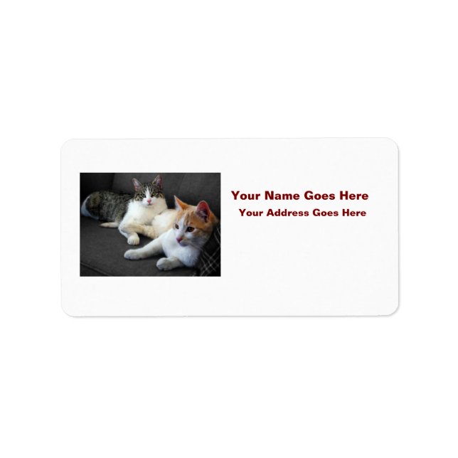 Etiqueta Brother & Sister Kitties (Frente)