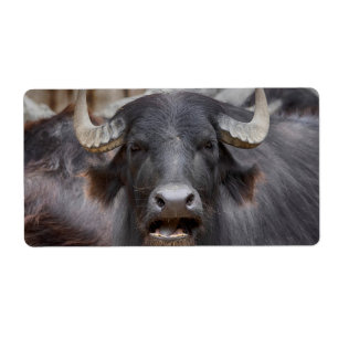 Etiqueta Bubalus bubalis