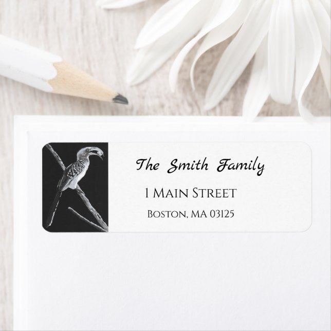 Etiqueta Bucerótido amarillo, animal Kalahari (In situ)