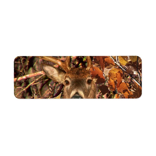 Etiqueta Buck in Camouflage White Tail Deer (Frente)