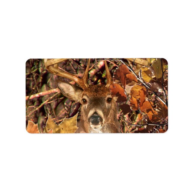 Etiqueta Buck in Camouflage White Tail Deer (Frente)