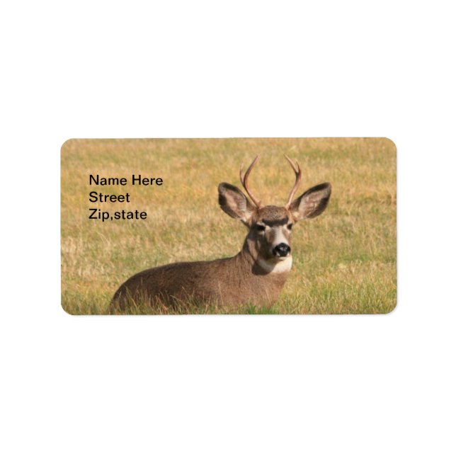 Etiqueta Buck In The Grass Address Label (Frente)