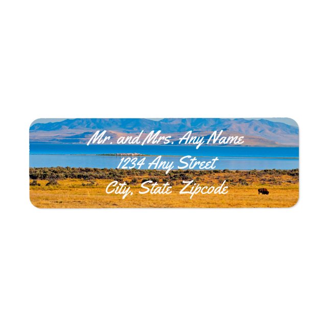 Etiqueta Búfalo de afeitar, lago de gran sal, Utah (Frente)