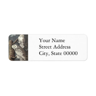 Etiqueta Búho Nevado, Juan Audubon