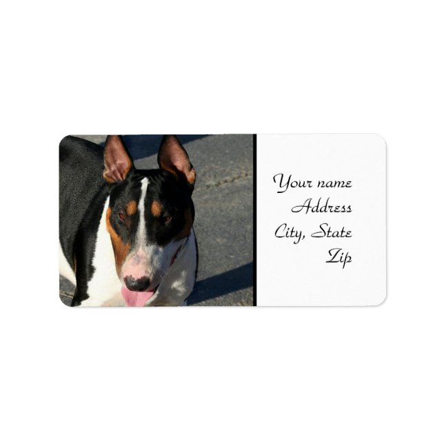 Etiqueta Bull Terrier (Frente)