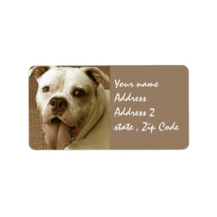 Etiqueta Bulldog americano