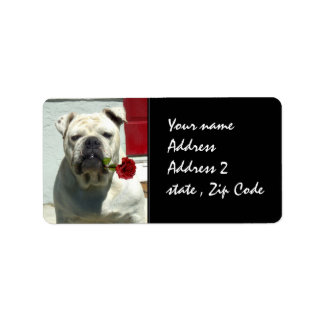 Etiqueta Bulldog blanco con rosa