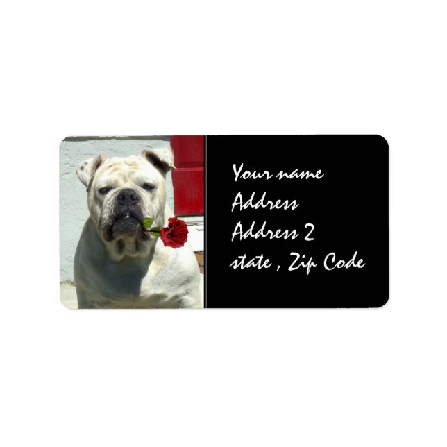 Etiqueta Bulldog blanco con rosa (Frente)