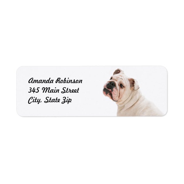Etiqueta Bulldog blanco de perro lindo (Frente)