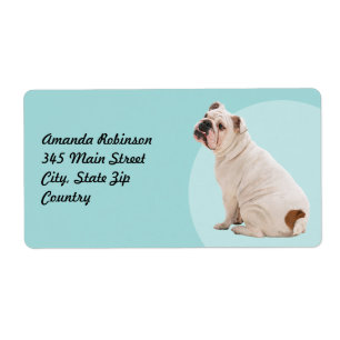 Etiqueta Bulldog blanco de perro lindo