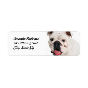 Etiqueta Bulldog blanco de perro lindo