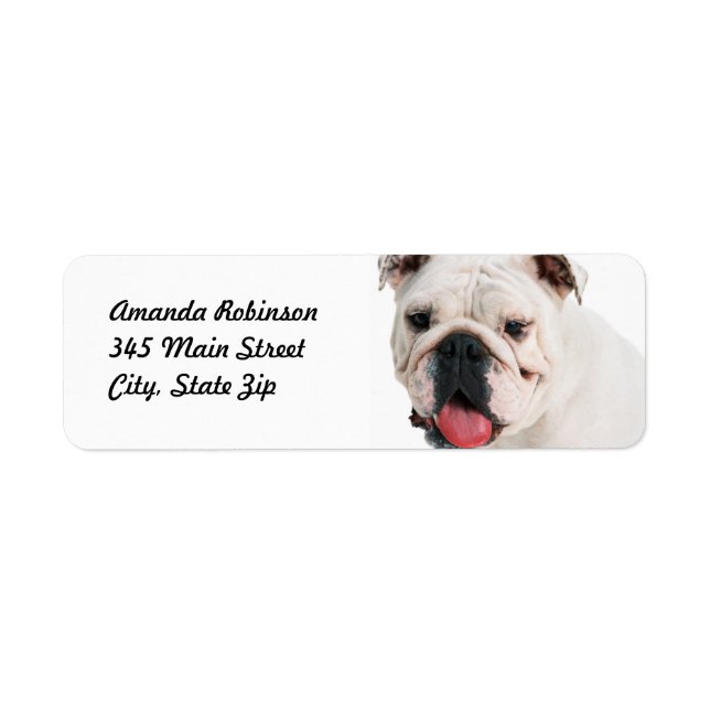 Etiqueta Bulldog blanco de perro lindo (Frente)