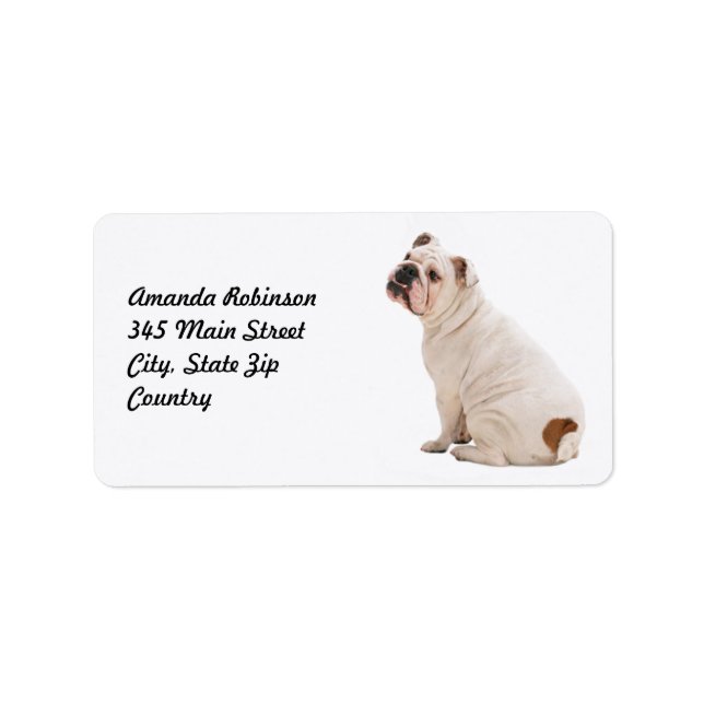 Etiqueta Bulldog blanco de perro lindo (Frente)