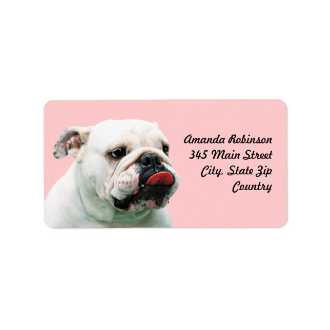 Etiqueta Bulldog blanco de perro lindo (Frente)