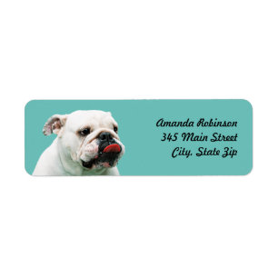 Etiqueta Bulldog blanco de perro lindo