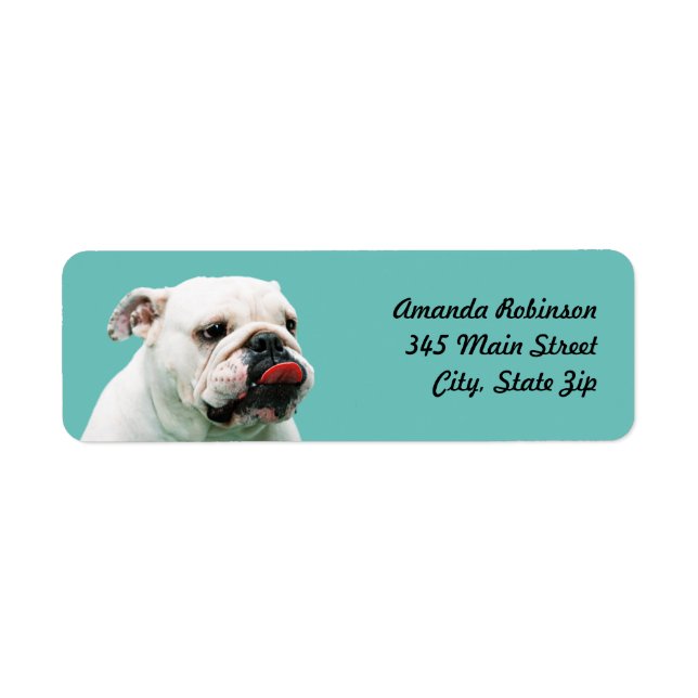 Etiqueta Bulldog blanco de perro lindo (Frente)