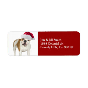Etiqueta Bulldog en navidad del gorra de Santa