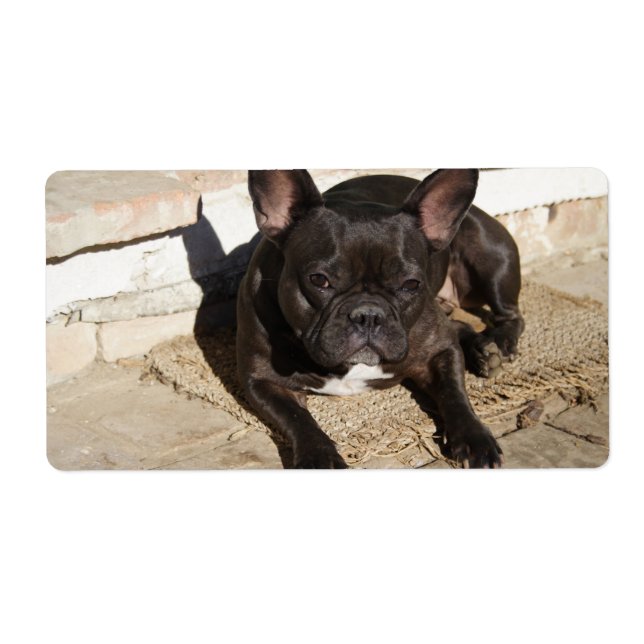 Etiqueta Bulldog francés Grouchy (Frente)