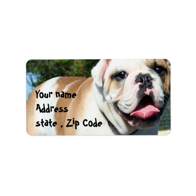 Etiqueta Bulldog inglés (Frente)