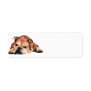 Etiqueta Bulldog inglés