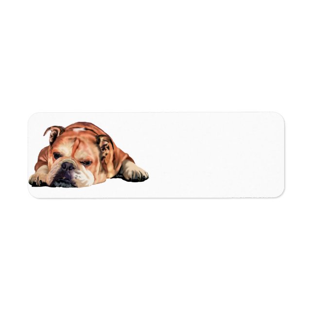 Etiqueta Bulldog inglés (Frente)