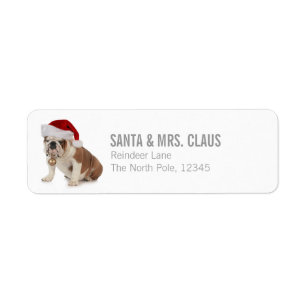 Etiqueta Bulldog inglés que lleva el gorra de Santa