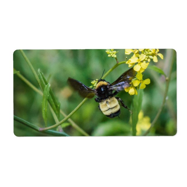 Etiqueta Bumble Bee en vuelo (Frente)