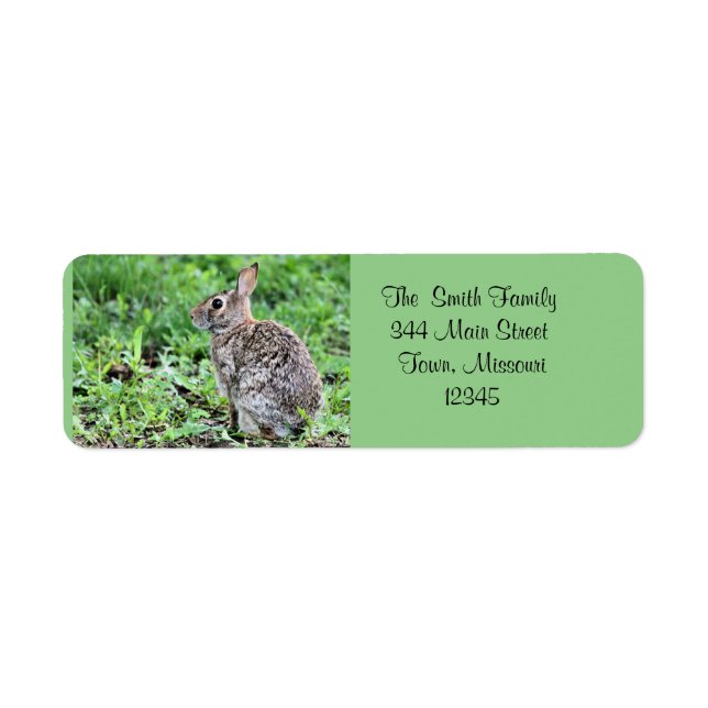Etiqueta Bunny (Frente)