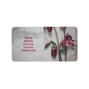 Etiqueta Burgundy Garden Floral