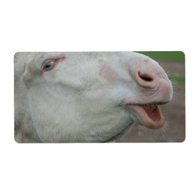 Etiqueta Burro blanco austríaco-húngaro (Frente)