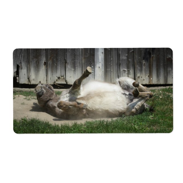 Etiqueta Burro de baño de arena (Frente)