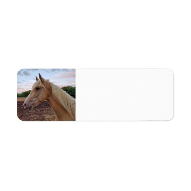 Etiqueta Caballo (Frente)