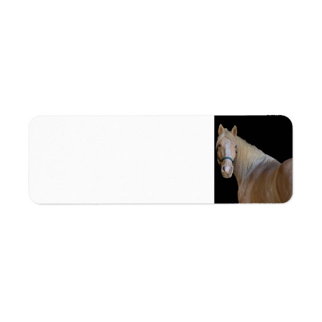 Etiqueta Caballo (Frente)