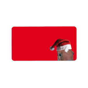 Etiqueta Caballo con un Gorra de Santa Claus