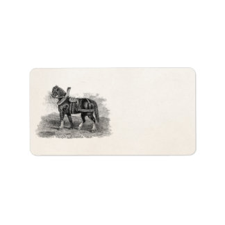 Etiqueta Caballo de Ilustracion de Agricultura de Caballo d