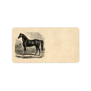 Etiqueta Caballo de los 1800s del vintage - plantilla del