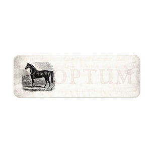 Etiqueta Caballo de los 1800s del vintage - plantilla del