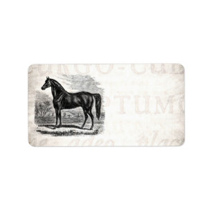 Etiqueta Caballo de los 1800s del vintage - plantilla del