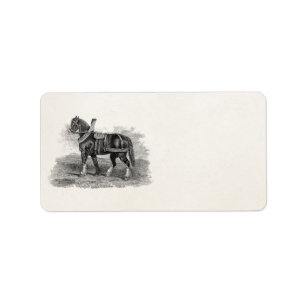 Etiqueta Caballo del ilustracion de la agricultura del