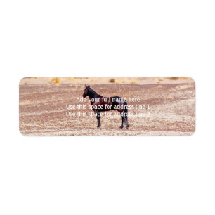 Etiqueta Caballo desierto P8664