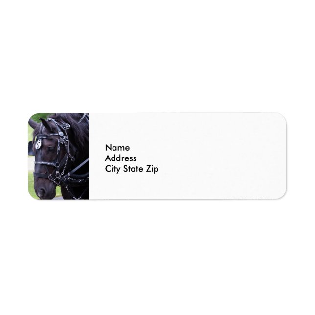 Etiqueta Caballo negro 384 (Frente)