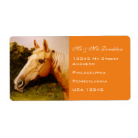 Caballo Palomino