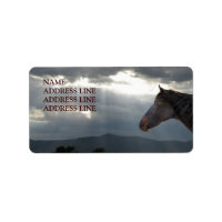 Caballo y cielo 5 - Dirección de retorno occidenta