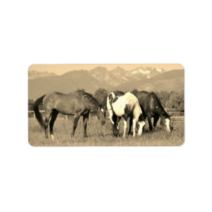 Etiqueta Caballos de moda en Montana Sepia al estilo occide