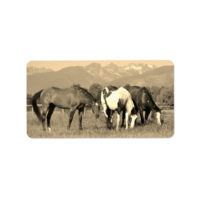 Etiqueta Caballos de moda en Montana Sepia al estilo occide (Frente)