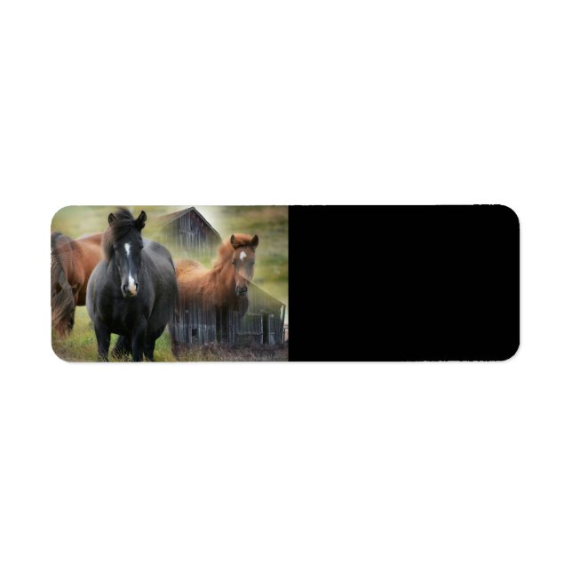 Etiqueta Caballos hermosos y granero rústico (Frente)