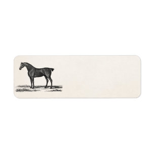 Etiqueta Caballos ingleses de la caza del caballo del