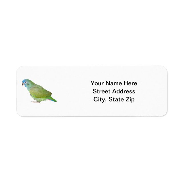 Etiqueta Cabeza azul Pionus Parrot (Frente)