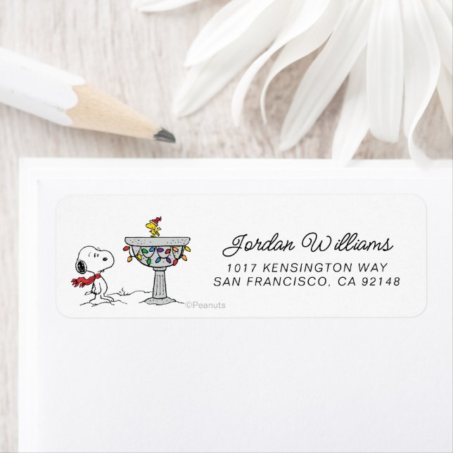 Etiqueta Cacahuetes | Baño de aves congelado Snoopy & Woods (In situ)